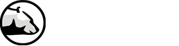 Berlinia.net